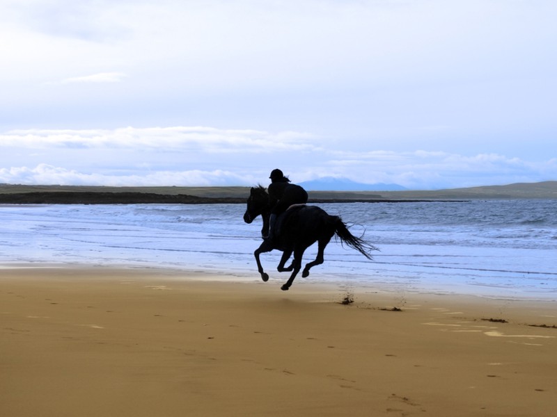 Gesund reiten und mit dem Pferd verschmelzen- das ist das Ziel. Schau auf der Übersicht Reitclever