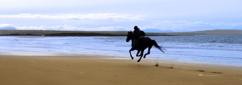 Besser reiten lernt man nur durch reiten- und durch entsprechende Übungen, die die Technik unterstützen.