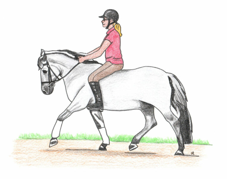 Besser Reiten trotz Rückenbeschwerden