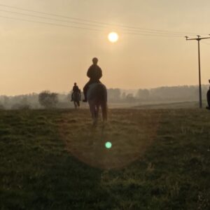 Einfach locker reiten, das Programm
