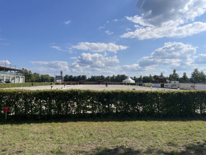 Neue Wege auch im Reitsport