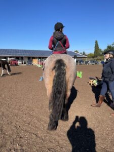 Fitness fuer Reiter und Pferd