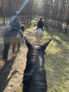 Locker sitzen auch im Gelände