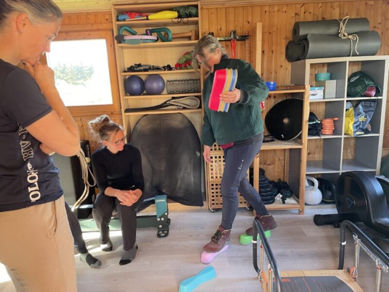 EQ Gesundheitssport mit Pferden
