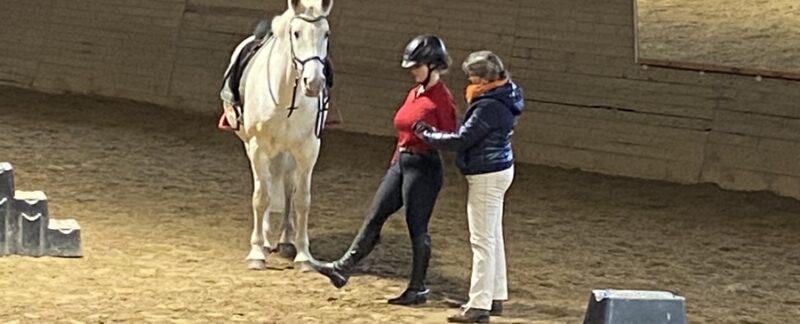 Trainingstipps speziell für Reiter gibt es bei Reitclever