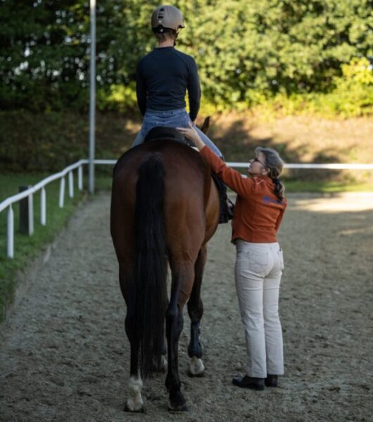 NeuroLogisch! wirkungsvoll unterrichten